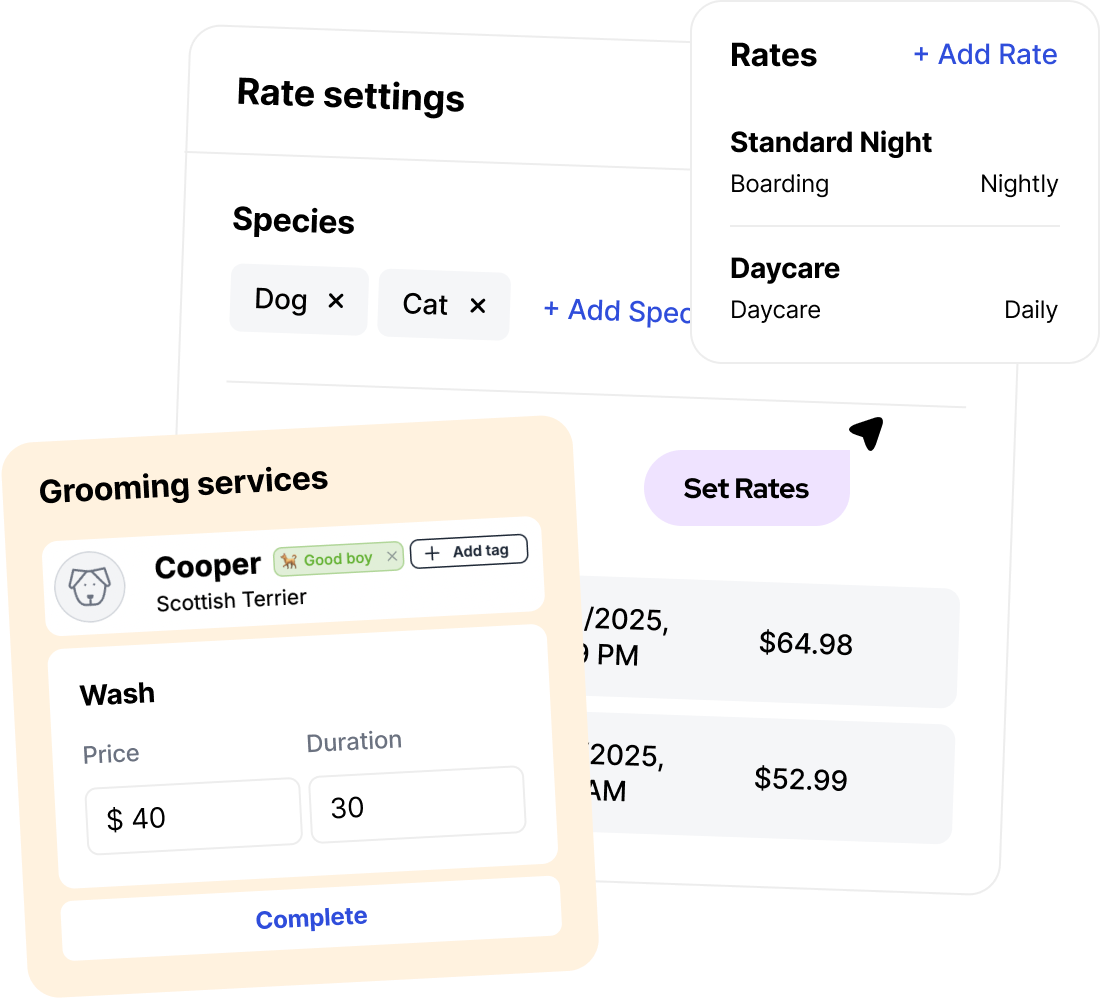Effortless, report, powerful insights